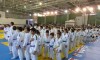torneio-de-judo-119