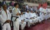 torneio-de-judo-147